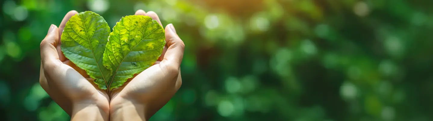 hero image